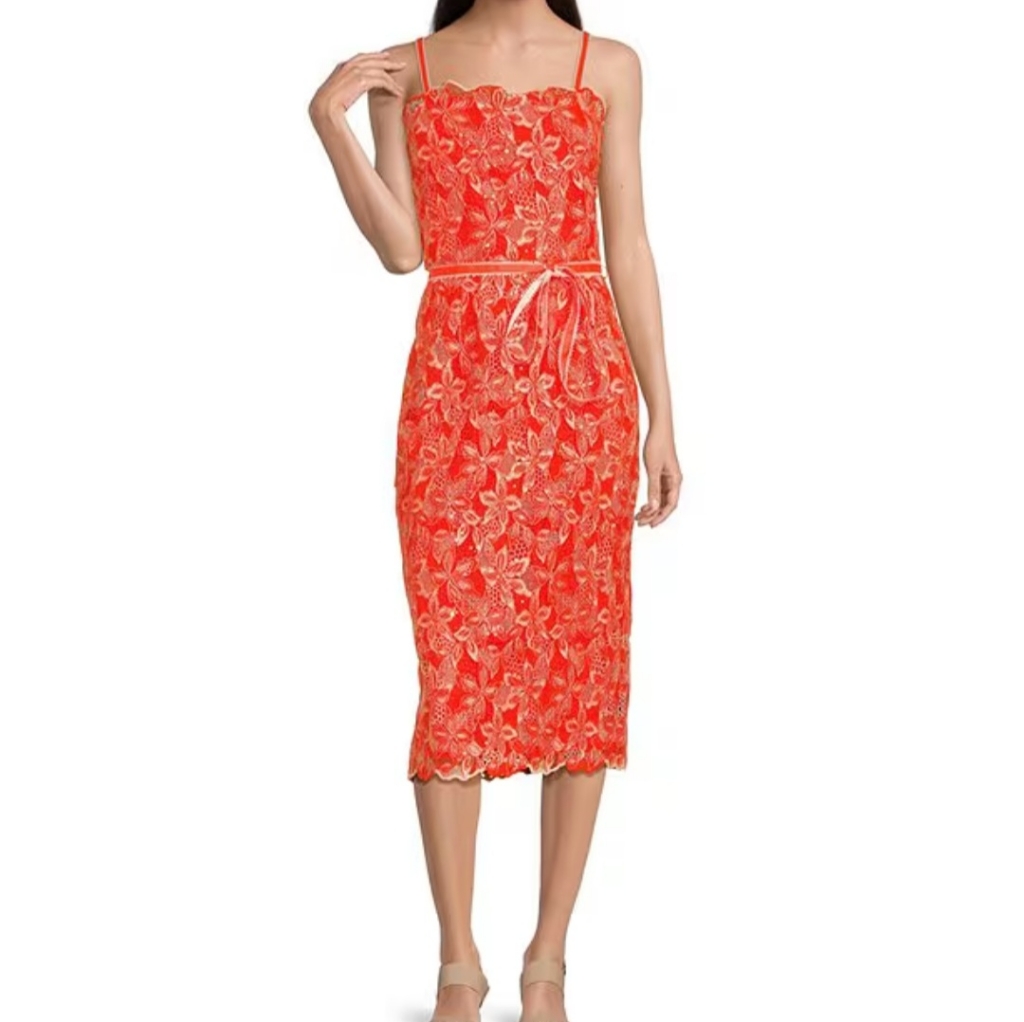Alex Marie Crystal Embroidered Lace Sleeveless Dress